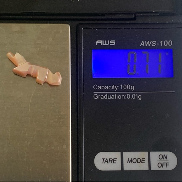 Vintage Native American Zuni Hand Carved Coyote Fetish Shell Animal Bead .9" - Picture 10 of 10